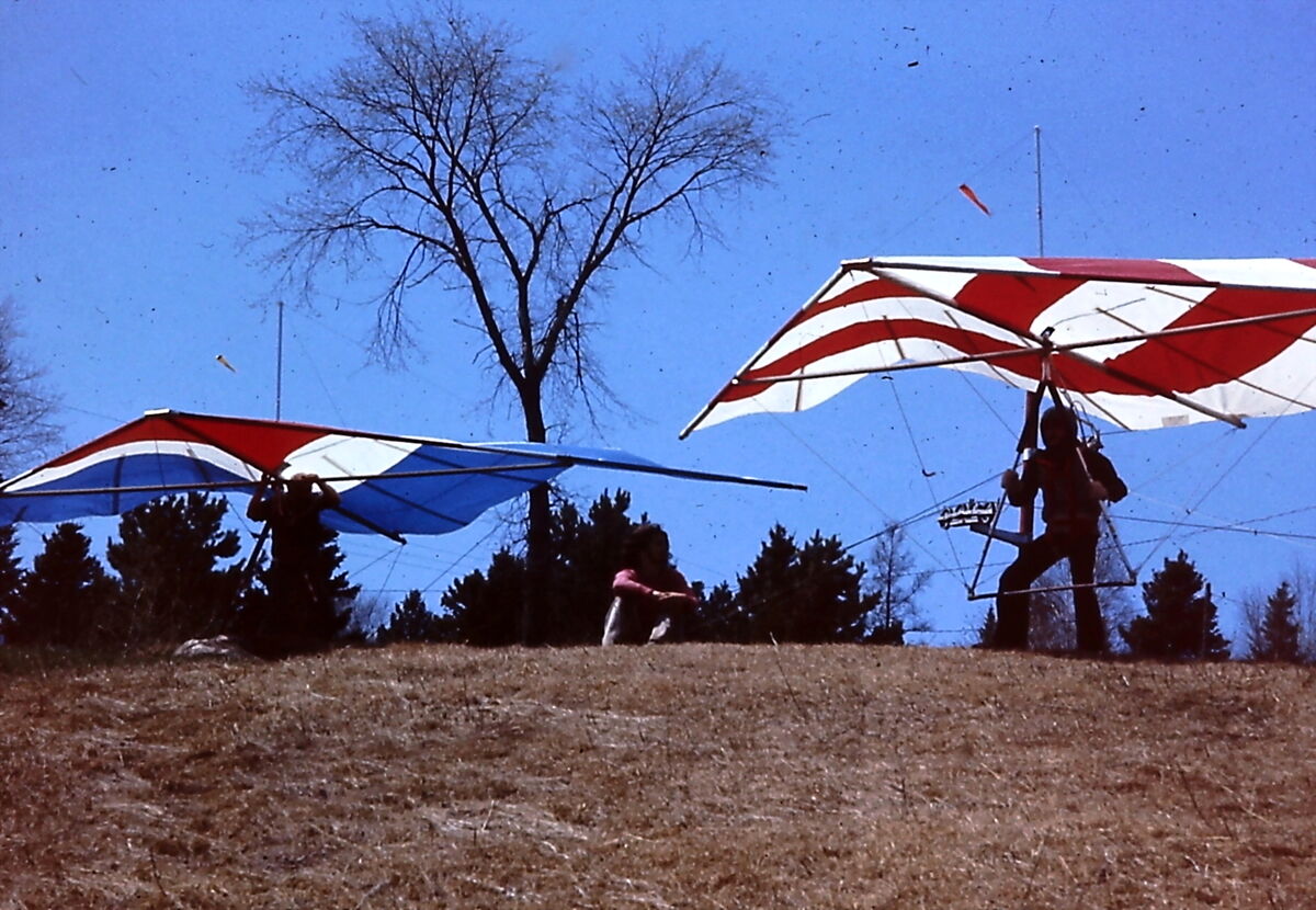 Deux deltaplanes au sommet d'une butte, l'un rouge, blanc et bleu, l'autre rouge et blanc, devant un grand arbre sans feuilles; un pilote se tient sous l'aile de droite